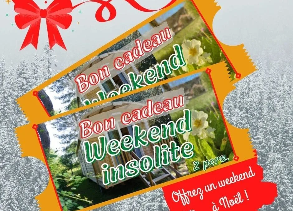 Bon cadeau – Insolite