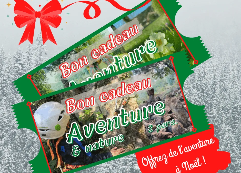 Bon cadeau Nöel