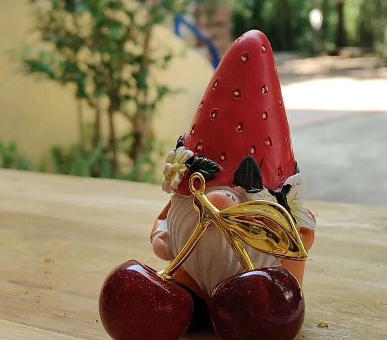Cerise d’Or Camping Aloha