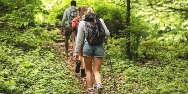 Nombreuses randonnées pédestres, de circuits VTT et de parcours vélo, adaptés à tous les niveaux.